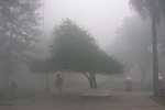 16/04/2008: Recrudecieron los incendios en la isla y la ciudad fue invadida por el humo.  Sanchez, Garcia y Acciardi, en el centro de comando montado en el aeroclub de Z�rate.    Ya se quemaron 66. 000 hect�reas. Ayer se debi� cortar el puente Z�rate Brazo Largo y las rutas 12, 14 y 9 