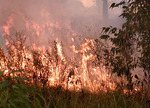 18/04/2008: Incendio de pastizales caus� alarma en Barrio Las Acacias.  La intensidad del incendio se puede percibir en la toda la zona. 