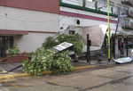 14/11/2009: El toldo de un pizzeria cay� sobre un auto, y tambi�n se vino abajo el cartel de una paradA de taxis, frente a la plaza Eduardo Costa. 
