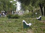 14/11/2009: Una vista de la plaza ITALIA, donde cayeron varios �rboles. 