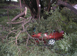 14/11/2009: Un auto en la zona de la avenida Irigoyen aplaStado por las ramas. 