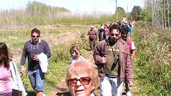 El nutrido grupo camina por arriba del �dique� que proteje las quintas de las habituales crecientes del Paran�.